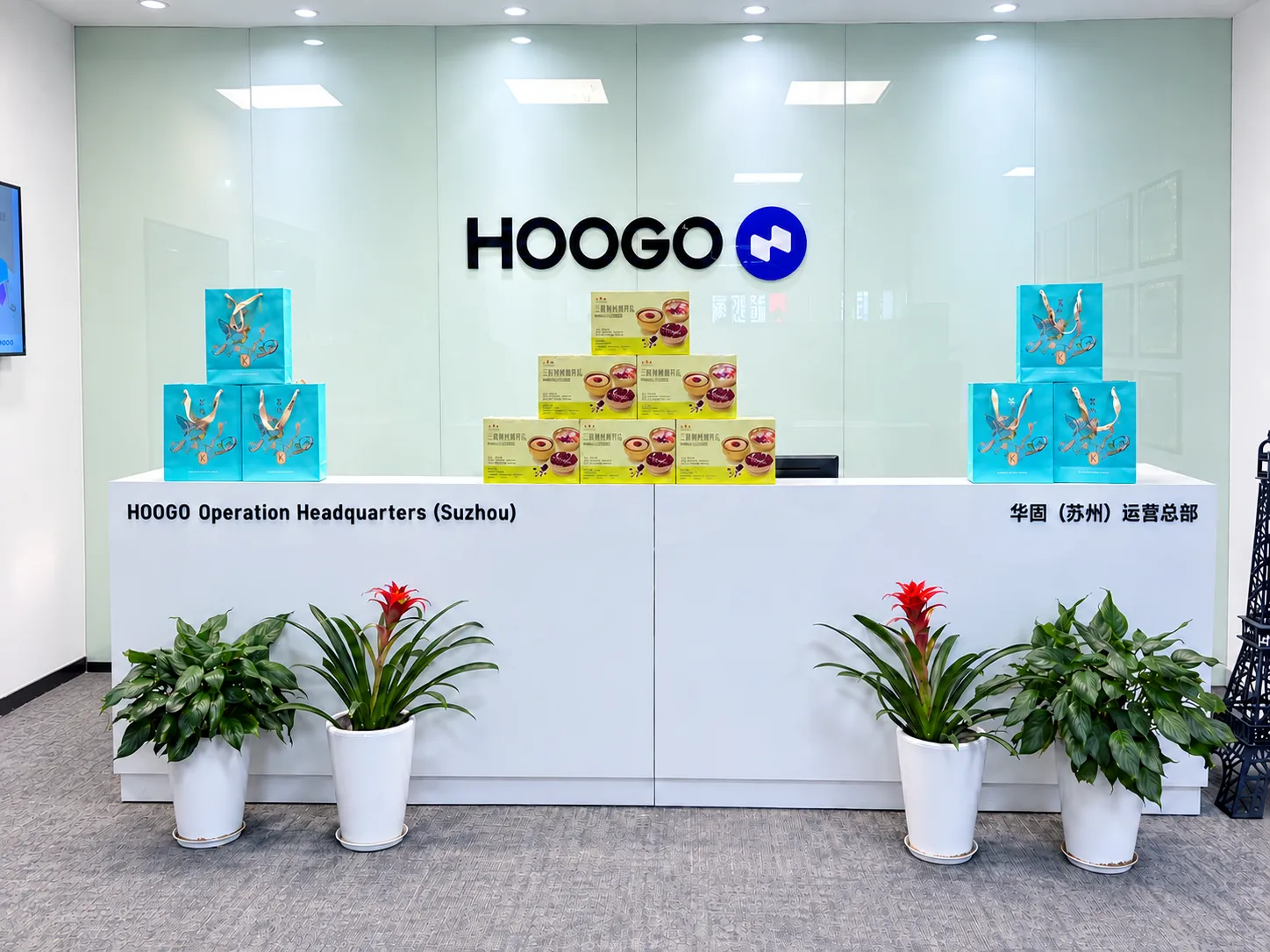 HOOGO HOOGO